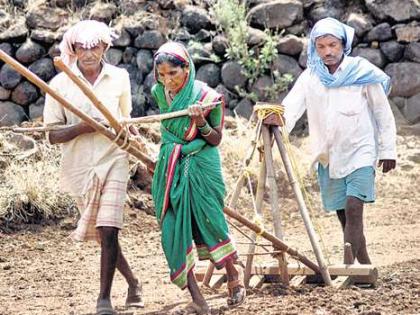 Monsoon can not be declared a Hamidar on the threshold | मान्सून उंबरठ्यावर तरी हमीदर जाहीर होईनात