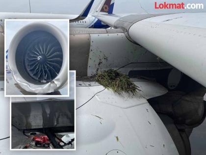 Major accident averted at Mumbai airport Air India plane overshot the runway | मुंबई विमानतळावर मोठा अपघात टळला! विमान धावपट्टीवरून घसरले, तिन्ही टायर फुटल्याने खळबळ Major accident averted at Mumbai airport Air India plane overshot the runway | मुंबई विमानतळावर मोठा अपघात टळला! विमान धावपट्टीवरून घसरले, तिन्ही टायर फुटल्याने खळबळ
