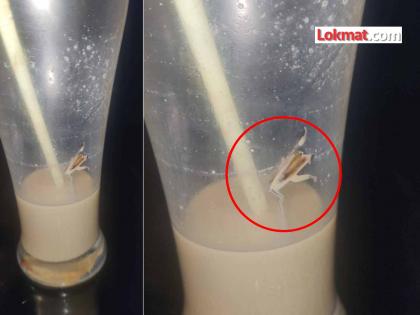 Mumbai Hope and Shine lounge Malad News Accused of finding cockroach in cold coffee A case has been registered against the manager, waiter and related persons | कोल्ड कॉफीमध्ये झुरळ सापडल्याचा आरोप! मुंबईतील मॅनेजर, वेटर, संबंधितांवर गुन्हा दाखल