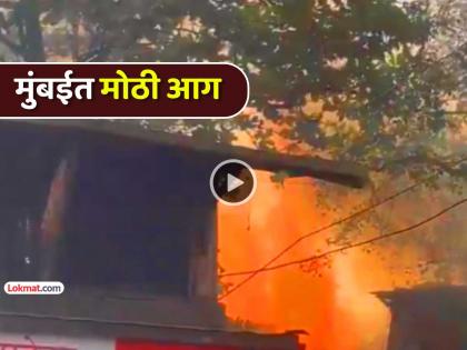 मुंबई: शिवडीमध्ये भीषण आग! एकापाठोपाठ एक ४ सिलेंडरचा स्फोट झाल्याने खळबळ, जिवीतहानी नाही - Marathi News | mumbai massive fire in sewri 4 cylinders explode one after the other causing panic no loss of life | Latest News at Lokmat.com