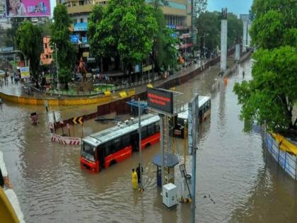 in mumbai bmc has taken proper precautions to prevent epidemics that occur during monsoon extermination of 6 lakh 71 thousand rats to control lepto | महापालिका ॲक्टिव्ह मोडवर;‘लेप्टो’ नियंत्रणासाठी प्रयत्न, ६ लाख ७१ हजार उंदरांचा खात्मा