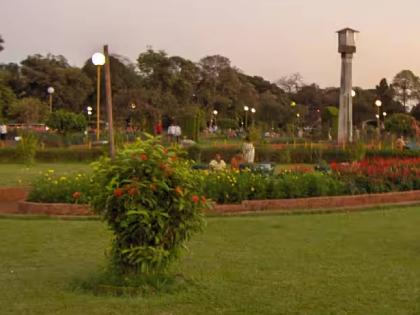 All municipal parks in Mumbai should be kept open from 5 am to 10.30 pm says NCP Youth Wing | मुंबईतील सर्व महापालिका उद्यान सकाळी ५ ते रात्री १०.३० वाजेपर्यंत खुली ठेवावीत