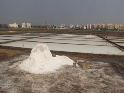 in mumbai eastern suburbs threatened if buildings are constructed on mithagaras environmental experts point out oppose giving space for rehabilitation | मिठागरांवर इमारतींची बांधकामे झाल्यास पूर्व उपनगराला धोका; पर्यावरण तज्ज्ञांनी वेधले लक्ष