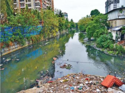 Rivers became garbage contractors, carried dirt; River March Aggressive, demands to revive stream | Mumbai: नद्या झाल्या कचरा कंत्राटदार, वाहून नेली घाण; रिव्हर मार्च आक्रमक