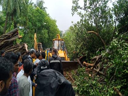 Mumbai heavy rains News | मुसळधार पावसामुळे एरंगळ येथे वडाचे झाड रस्त्यावर पडल्याने वाहतुकीचा खोळंबा  