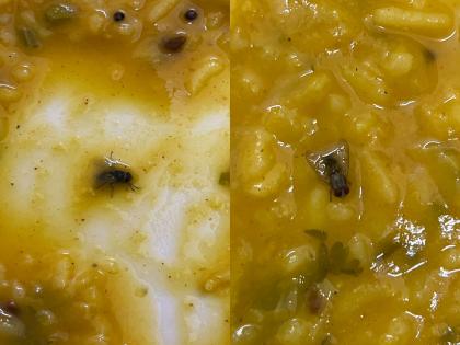 Housefly was found in the khichdi of Mumbai University student | मुंबई विद्यापीठाच्या विद्यार्थी हॉस्टेलमधील कॅण्टीनचा दर्जा कधी सुधारणार?