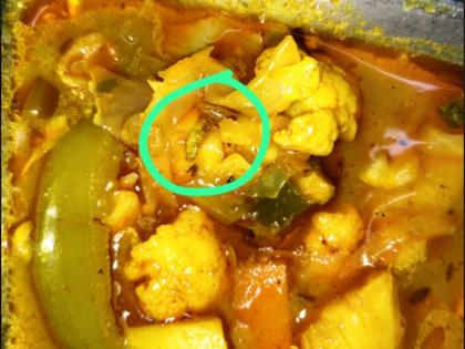 Cockroaches and vegetable worms in breakfast, anger of Western Railway employees | नाश्त्यात झुरळ आणि भाजीत अळी, पश्चिम रेल्वेच्या कर्मचा-यांचा संताप अनावर