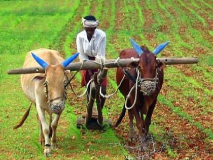 Gopinath Munde Farmer Accident Insurance Resumed, Agriculture Department Orders to Verify Proposals | ‘गोपीनाथ मुंडे’ शेतकरी अपघात विमा पुन्हा सुरू; शासन भरते विम्याचा हप्ता, 'इतकी' मिळते मदत