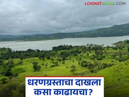 Latest news Dharangrasta Dakhala How to get dam victim certificate project affected certificate Read in detail | तुमची जमीन धरणात गेल्यास धरणग्रस्ताचा दाखला कसा काढायचा? वाचा सविस्तर Latest news Dharangrasta Dakhala How to get dam victim certificate project affected certificate Read in detail | तुमची जमीन धरणात गेल्यास धरणग्रस्ताचा दाखला कसा काढायचा? वाचा सविस्तर