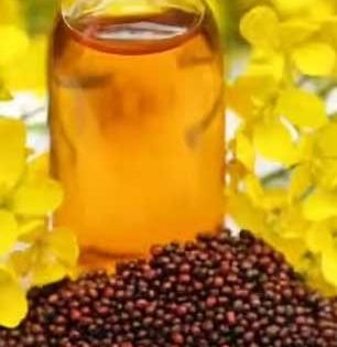 मोहरीचं तेल थंडीत ठरतं वरदान, ‘असं’ वापरलं तर मिळेल तुकतुकीत कांती आणि भरपूर ताकदीचं शरीर