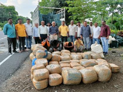 435 kg of ganja seized in amravati, four accused arrested | अमरावती स्थानिक गुन्हे शाखेची मोठी कारवाई, तब्बल ४३५ किलो गांजा जप्त, चार आरोपी ताब्यात