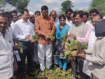 The crop hit over 1.5 lakh hectares in the state; Crop loss photographs may also be considered for assistance | राज्यात ५४.२२ लाख हेक्टरवरील पिकांना फटका; पीक हानीची छायाचित्रेही मदतीसाठी ग्राह्य धरणार