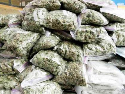 Police raids four places in Pimpri; More than 2 kg of drugs worth Rs 1 lakh seized | पिंपरीत चार ठिकाणी पोलिसांचा छापा; एक लाखांचा २ किलोपेक्षा जास्त गांजा जप्त