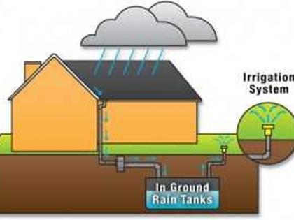 Municipal Workers' not intrasted in Rainwater Harvesting | रेन वॉटर हार्वेस्टिंग, वृक्षारोपणाला मनपा कर्मचाऱ्यांचा ठेंगा