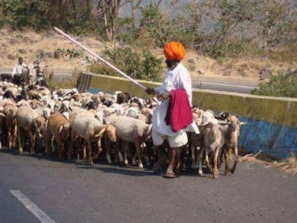 An awareness gathering of Dhangar community was held for 'Dhangad' or 'Dhangar' | ‘धनगड’ की ‘धनगर’ यासाठी धनगर समाजाचा प्रबोधन मेळावा पार पडला