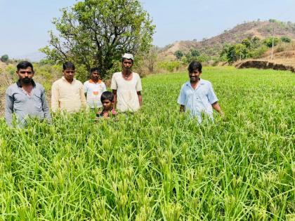 Farmers in Akole taluka get new direction | अकोले तालुक्यातील शेतकऱ्यांना मिळाली नवी दिशा Farmers in Akole taluka get new direction | अकोले तालुक्यातील शेतकऱ्यांना मिळाली नवी दिशा