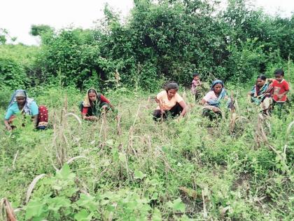 What a time it was; National players are working in the field ..! | काय ही वेळ आली; राष्ट्रीय खेळाडू नागम्मा करतेय शेतात मजुरी.. !