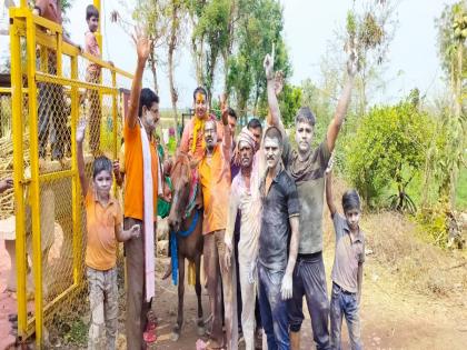 holi 2023 son in laws procession on a donkey on dhulivandana day in this village | लाडके जावईबापू 'लटकले', बाकी सगळे 'सटकले'; धुळवडीला गाढवावरून वाजतगाजत मिरवणूक