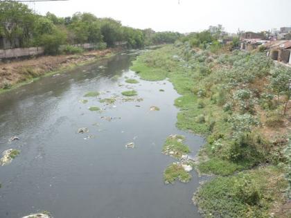 Naag nadi river,Piwali and Pora river will be cleaned: Jagar of cleanliness | नाग नदीसह पिवळी व पोराही उजळणार : स्वच्छतेचा जागर