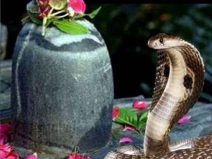 Nag Panchami should be celebrated as per the order of the High Court, attention should be paid to villages that catch snakes | Sangli: उच्च न्यायालयाच्या आदेशानुसार नागपंचमी साजरी करावी, नाग पकडणाऱ्या गावांवर लक्ष Nag Panchami should be celebrated as per the order of the High Court, attention should be paid to villages that catch snakes | Sangli: उच्च न्यायालयाच्या आदेशानुसार नागपंचमी साजरी करावी, नाग पकडणाऱ्या गावांवर लक्ष