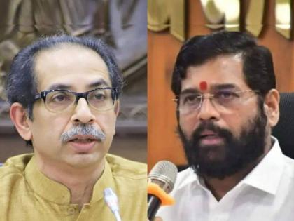 Eat the claims of the Thackeray group. The mosses rejected; Cross-examination at disqualification hearings | ठाकरे गटाचे दावे खा. शेवाळेंनी फेटाळले; अपात्रता सुनावणीत उलटतपासणी