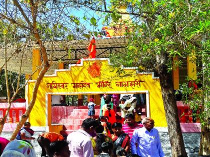 Organizing the program of Mahashivratri in the Kiteshwar temple, organizing various events | पतंगेश्वर मंदिरात महाशिवरात्रीची जय्यत तयारी पूर्ण, अनेक कार्यक्रमांचे आयोजन