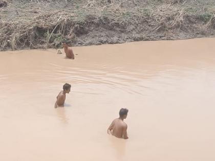 55-year-old man was swept away in the flood | नाल्याच्या पुरात ५५ वर्षीय इसम गेला वाहून