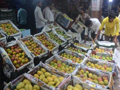 Lalbaug badami dominates the mango market in the South and the arrival of Lalbagh badami also increased. | दक्षीणेतील आंब्याचे बाजारपेठेवर वर्चस्व लालबाग बदामीची आवकही वाढली, कोकणच्या हापूसची आवक झाली कमी