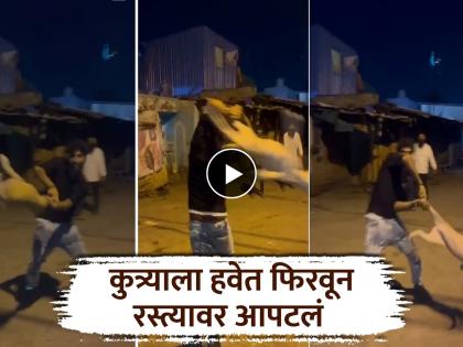 Cruelty at its peak! In Nanded, a young man threw a dog in the air and hit it on the road, animal lovers are angry | क्रौर्याची हद्द! नांदेडमध्ये युवकाने कुत्र्याला हवेत फिरवून रस्त्यावर आपटले, प्राणीप्रेमी संतप्त Cruelty at its peak! In Nanded, a young man threw a dog in the air and hit it on the road, animal lovers are angry | क्रौर्याची हद्द! नांदेडमध्ये युवकाने कुत्र्याला हवेत फिरवून रस्त्यावर आपटले, प्राणीप्रेमी संतप्त