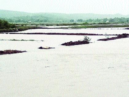 In Uran, the risk of agricultural land becoming barren | उरणमध्ये शेतजमीन नापीक होण्याचा धोका