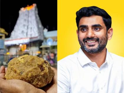 "We will not spare anyone!", Andhra Pradesh government is aggressive in Tirupati Ladoo adulteration case    | "आम्ही कुणालाही सोडणार नाही!’’, तिरुपती लाडू भेसळीप्रकरणी आंध्र प्रदेश सरकार आक्रमक   