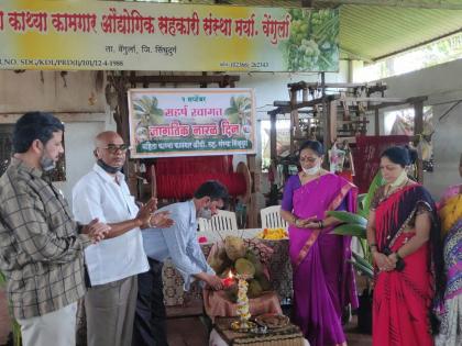 Coconut cultivation in the district, Coconut cultivation for economic well-being | जागतिक नारळ दिन : नारळ लागवडीला सिंधुदुर्ग जिल्ह्यात वाव