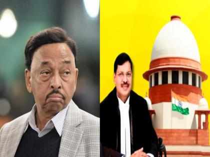 bjp narayan rane gets big shock in forest land allocation case allocating it for housing is illegal cji bhushan gavai historic verdict | वनजमीन वाटपप्रकरणी राणेंना धक्का; गृहनिर्माणास देणे बेकायदा, CJI गवई यांचा ऐतिहासिक निकाल bjp narayan rane gets big shock in forest land allocation case allocating it for housing is illegal cji bhushan gavai historic verdict | वनजमीन वाटपप्रकरणी राणेंना धक्का; गृहनिर्माणास देणे बेकायदा, CJI गवई यांचा ऐतिहासिक निकाल