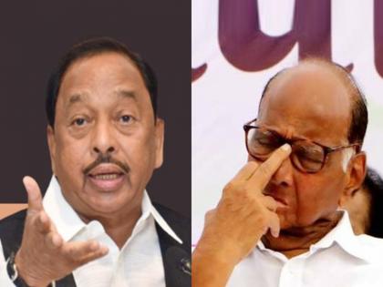 union minister and bjp leader narayan rane replied ncp chief sharad pawar criticism on vedanta foxconn project | Maharashtra Politics: “शरद पवार ४ वेळा मुख्यमंत्री होते, औद्योगिक क्रांती का नाही झाली?”; नारायण राणेंचा रोकडा सवाल