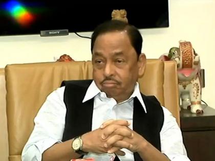 bjp narayan rane react over shiv sena anant geete statement over ncp and sharad pawar | “अनंत गीतेंचे म्हणणे १०० टक्के खरे, शिवसेनेला हिंदुत्वावर बोलण्याचा अधिकार नाही”