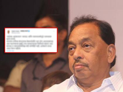 Narayan Rane slammed by Sharad Pawar led NCP leader Clyde Crasto over Adhish Bungalow Mumbai High Court Order | Narayan Rane vs NCP: "सत्तेच्या अहंकाराला न्यायव्यवस्थेपुढे..." राष्ट्रवादीचा नारायण राणेंना टोला