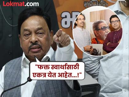 Uddhav thackeray Raj thackeray are coming together only for selfish reasons Narayan Rane's attack on both Thackerays brother at the same time | "हे दोघे एकत्र येणे म्हणजे, मराठी...; फक्त स्वार्थासाठी एकत्र येताहेत!" नारायण राणे यांचा एकाच वेळी दोन्ही ठाकरेंवर हल्लाबोल