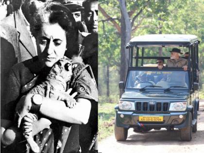 congress raised questions on pm modi tiger safari by sharing the picture of indira gandhi | पंतप्रधान नरेंद्र मोदींनी केली जंगल सफारी, काँग्रेसने इंदिरा गांधींचा फोटो शेअर करुन केला सवाल