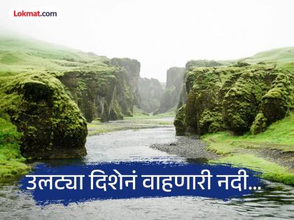 Why narmada river flows opposite know reason | भारतातील एक अशी नदी जी आपल्या प्रवाहाच्या विरूद्ध दिशेने वाहते, वाचा काय असेल कारण Why narmada river flows opposite know reason | भारतातील एक अशी नदी जी आपल्या प्रवाहाच्या विरूद्ध दिशेने वाहते, वाचा काय असेल कारण