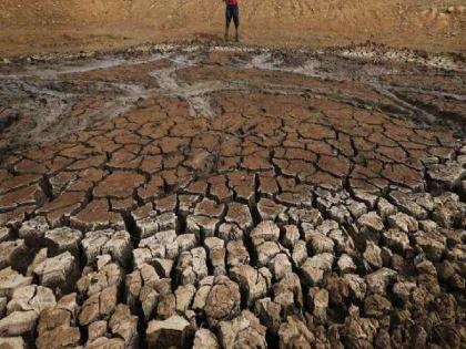 Ten more mandals have been added to the 44 mandals facing drought | दुष्काळाचे संकट असलेल्या 44 मंडळात आणखी दहा मंडळाची भर