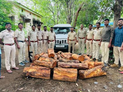 In Trimbakeshwar taluka, forest teams foiled a plot to smuggle khair in the border forest | त्र्यंबकेश्वर तालुक्यात सीमावर्ती भागातील जंगलात खैराची तस्करीचा डाव वन पथकांनी उधळला