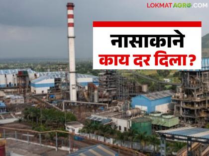 Latest News Nashik Cooperative Sugar Factory has offered a price of Rs. 3,001 per ton for sugarcane | यंदा नाशिक सहकारी साखर कारखान्याने उसाला काय दर दिला, वाचा सविस्तर Latest News Nashik Cooperative Sugar Factory has offered a price of Rs. 3,001 per ton for sugarcane | यंदा नाशिक सहकारी साखर कारखान्याने उसाला काय दर दिला, वाचा सविस्तर