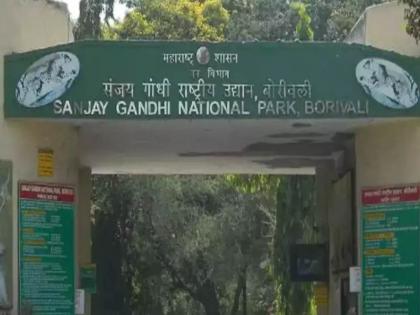 the responsibility of the forest department is also on the bmc funding of sanjay gandhi national park works provided by municipality | वनविभागाच्या कामांचाही भार मुंबई महापालिकेवर; संजय गांधी राष्ट्रीय उद्यानाच्या कामांना निधी