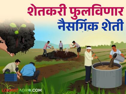 Naisargik Sheti : Flourish natural farming; Krushi sakhi will get honorarium and farmers will get incentive allowance | Naisargik Sheti : फुलवा नैसर्गिक शेती; कृषी सखींना मानधन तर शेतकऱ्यांना प्रोत्साहन भत्ता मिळणार Naisargik Sheti : Flourish natural farming; Krushi sakhi will get honorarium and farmers will get incentive allowance | Naisargik Sheti : फुलवा नैसर्गिक शेती; कृषी सखींना मानधन तर शेतकऱ्यांना प्रोत्साहन भत्ता मिळणार
