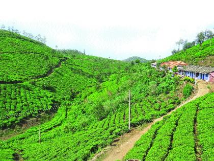 Nature 'gift' Kerala | निसर्गाची ‘भेट’ केरळ