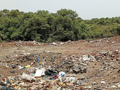 Navi Mumbai: Protection of 1013 hectares of mangroves in Mumbai Metropolitan Division still pending, violation of 5-year-old High Court order | Navi Mumbai: मुंबई महानगर विभागात १०१३ हेक्टर खारफुटींचे संरक्षण अजूनही प्रलंबित, उच्च न्यायालयाच्या ५ वर्षांपूर्वीच्या आदेशाचे उल्लंघन