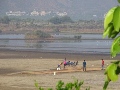 Barrier of mangroves with water bodies in front of the Navi Mumbai financial centre | नवी मुंबई आर्थिक केंद्रापुढे पाणथळींसह खारफुटींचा अडसर