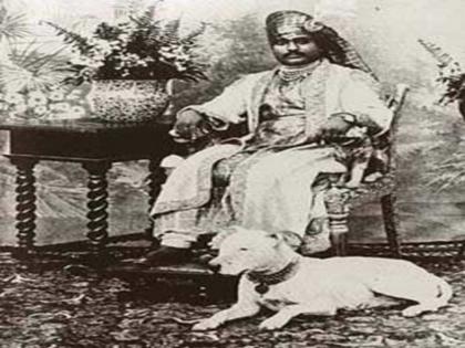 Interesting story of Junagadh Nawab Mahabat Khan spend 2 crore rupees on dogs wedding | 'या' नवाबाने आवडत्या कुत्रीच्या लग्नावर पाण्यासारखा पैसा केला होता खर्च, किती तो वाचा!