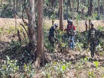 eleven policemen, one civilian killed in blast carried out by Maoists in Chhattisgarh's Dantewada | मोठी बातमी! छत्तीसगडमध्ये नक्षलवाद्यांच्या हल्ल्यात ११ जवान शहीद