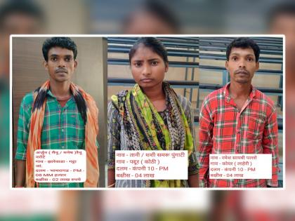 Three Naxalites arrested with reward of 10 lakhs Including a woman in Gadchiroli | गडचिरोलीत १० लाखांच्या इनामी तीन नक्षलींना अटक, एका महिलेचा समावेश